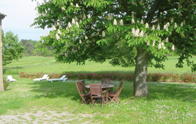 LE JARDIN